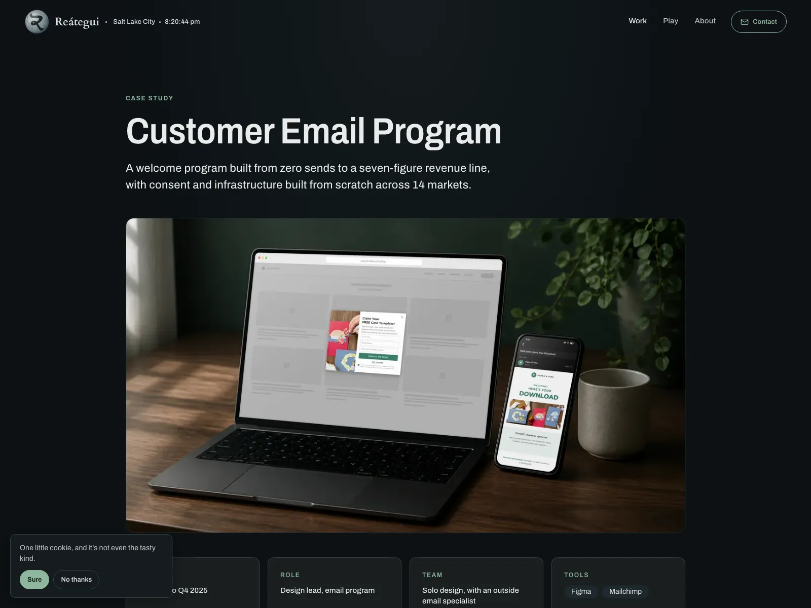 Case study page showing the long-form narrative template.